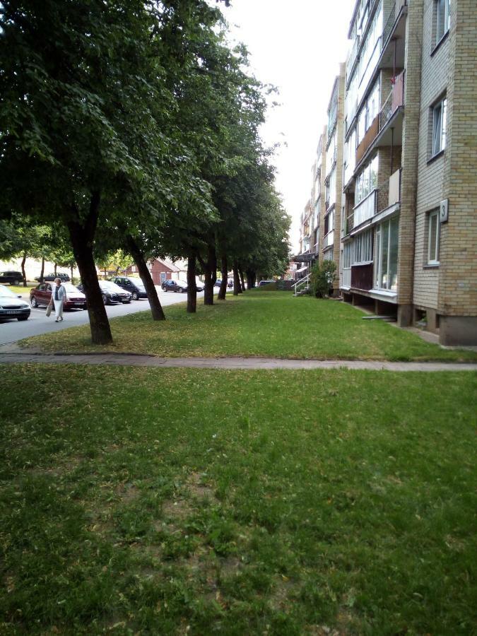 Апартаменти Anykstuko Butas Анікщяй Екстер'єр фото